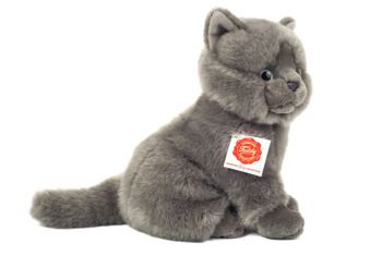 Chat chartreux assis 20 cm - peluche - peluche 9