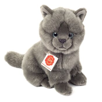 Chat chartreux assis 20 cm - peluche - peluche 1