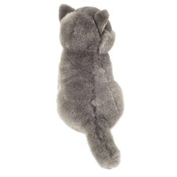 Chat chartreux assis 20 cm - peluche - peluche 5