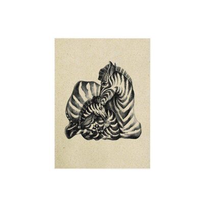 Carta erba cartolina - zebra