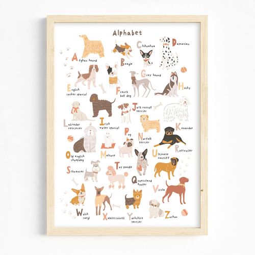 A3/ABC Dogs art print