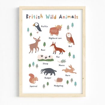 Impression d'art A3 / British Wild Animals 1