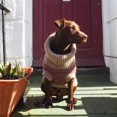 Hundepullover aus Wolle in Burgund