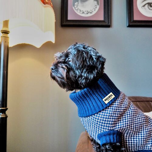 Monti Dog Jumper in Navy