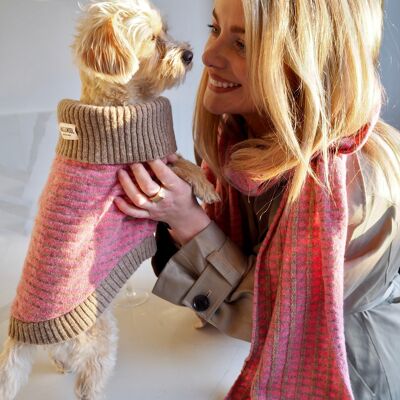 Ensemble pull pour chien rose et écharpe assortie