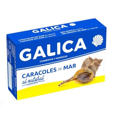 Caracoles de mar al natural Galica - PACK 24 ud