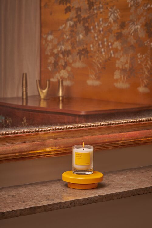 Bougie Mimosa maquis