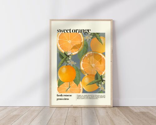 Sweet Orange , Orange Print , Fruit Print , Still Life , Summer Print , French Print , Fruit , Wall Art , Tropical Print , Botanical Print ,