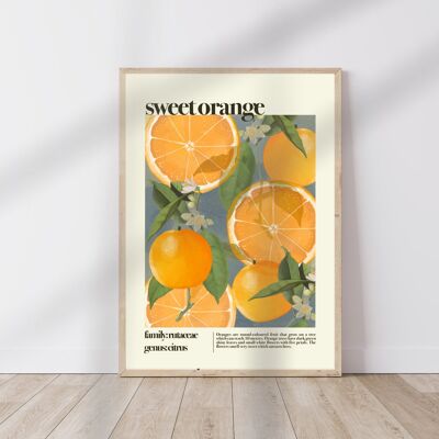 Süße Orange, Orangendruck, Obstdruck, Stillleben, Sommerdruck, französischer Druck, Obst, Wandkunst, tropischer Druck, botanischer Druck,