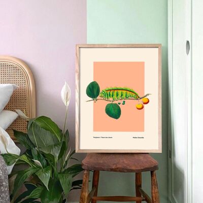 Bug Art, Insect Print, French, Vintage Art, Bright Print, Gallery Wall , Bedroom, A5, A4, A3, A2, A1, A0, Warm Colours, Boho, Vintage