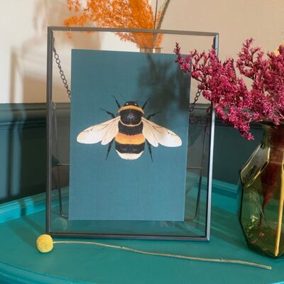 Bumble Bee Illustrazione originale, Bumb Bee Art Print, Insects Gallery Wall, Stampa d'insetti vintage, Stampa d'arte enntomologica, Stampa d'arte delle api