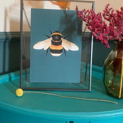 Ilustración original de abejorro, impresión de arte de abejorro, pared de la galería de insectos, impresión de insectos vintage, impresión de arte entomológico, impresión de arte de abeja