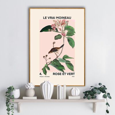 Stampa d'arte botanica vintage, schizzo d'arte floreale, stampa d'arte francese, stampa di uccelli e fiori, A5, A4, A3, stampa d'arte rosa e verde,