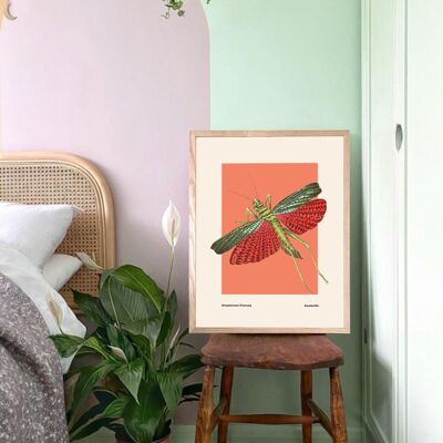 Grasshopper, Insect Print, French, Vintage, Bright Print, Gallery Wall Print, Bedroom, A5, A4, A3, A2, A1, A0, Warm Colours, Boho, Vintage