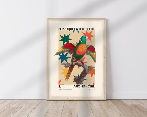 Parrot Print, French Art Print, Funky Animal Art Print, Animal Stars Print, Bedroom, A5, A4, A3, A2, A1, A0, Pink, Boho,