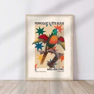 Parrot Print, French Art Print, Funky Animal Art Print, Animal Stars Print, Bedroom, A5, A4, A3, A2, A1, A0, Pink, Boho,