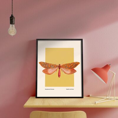Moth Art, Insect Print, French, Vintage Art, Bright Print, Gallery Wall Print, Bedroom, A5, A4, A3, A2, A1, A0, Warm Colours, Boho, Vintage