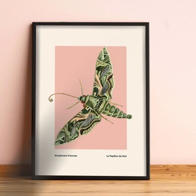 Night Moth, Insect Print, French, Vintage Art, Pink Print, Gallery Wall Print, Bedroom, A5, A4, A3, A2, A1, A0, Pink, Boho, Vintage Insect