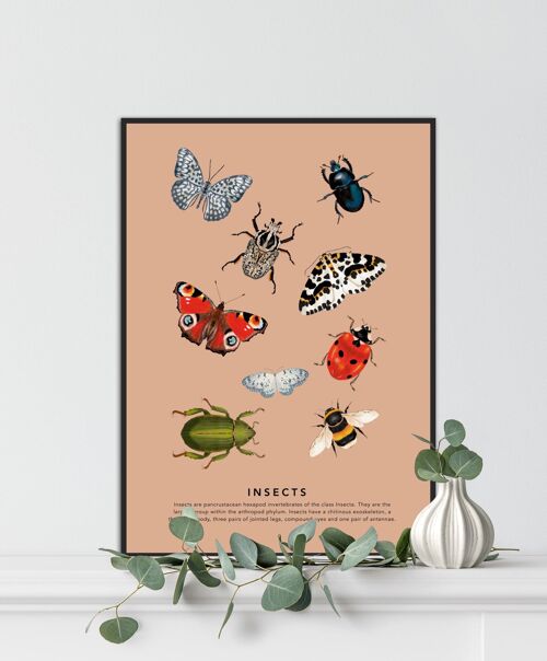 Insects,  Insect Art Print, Vintage Insect Print, Insect Gallery Art, Bug Illustration, Entomological Print, Butterflies and Beetles,