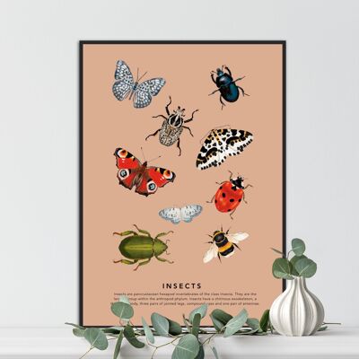 Insects,  Insect Art Print, Vintage Insect Print, Insect Gallery Art, Bug Illustration, Entomological Print, Butterflies and Beetles,