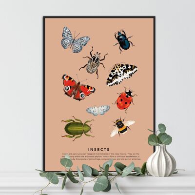 Insectos, impresión de arte de insectos, impresión de insectos vintage, arte de la galería de insectos, ilustración de insectos, impresión entomológica, mariposas y escarabajos,