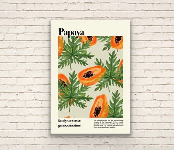 Papaye, Papaye Print, Fruit Print, Still Life, Summer Print, Français Print, Fruit, Wall Art, Tropical Print, Botanical Print 3