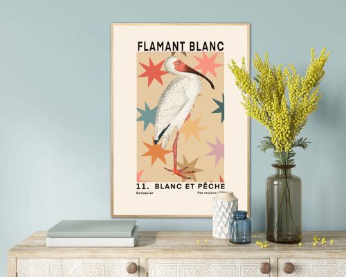 White Flamingo Print, French Art Print, Funky Animal Art Print, Animal Stars Print, Bedroom, A5, A4, A3, A2, A1, A0, colourful, Boho,