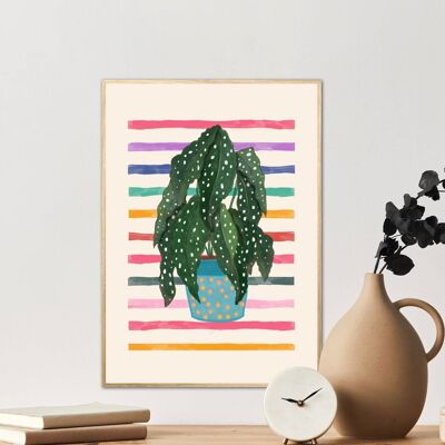 Begonia manchada, impresión de planta dibujada a mano, impresión de planta de casa colorida, planta en maceta de color pop, impresión de planta linda, impresión funky,