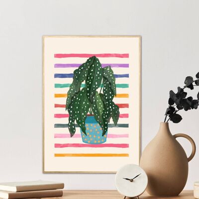 Begonia manchada, impresión de planta dibujada a mano, impresión de planta de casa colorida, planta en maceta de color pop, impresión de planta linda, impresión funky,