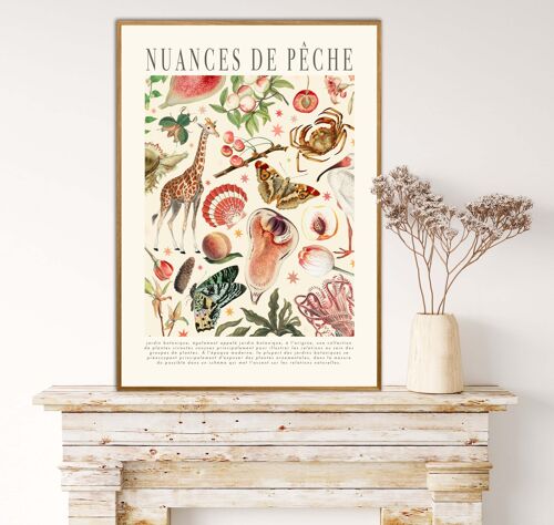 Shade of Peach , Floral Print , Print , Bedroom , Kitchen Print , French Print , Flower , Wall Art , Vintage , Botanical Print , A3 , A4 ,