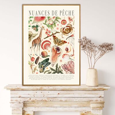 Nuance de pêche, imprimé floral, impression, chambre à coucher, impression de cuisine, impression Français, fleur, Art mural, Vintage, impression botanique, A3, A4,