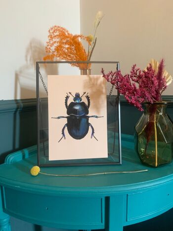 Blue Mint Beetle Illustration originale, Black Beetle Art Print, Insects Gallery Wall, Vintage Insect Print, Entomological Art Print, 1