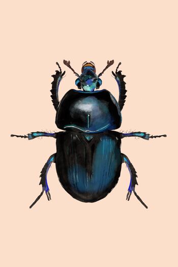 Blue Mint Beetle Illustration originale, Black Beetle Art Print, Insects Gallery Wall, Vintage Insect Print, Entomological Art Print, 4