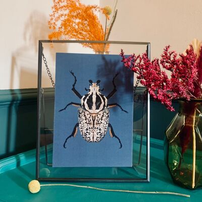 Goliath-Käfer-Originalillustration, Käfer-Kunstdruck, Insekten-Galeriewand, Vintage-Insekten-Druck, entomologischer Kunstdruck, Käfer-Druck
