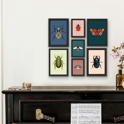 Rosenkäfer-Käfer-Originalillustration, Käfer-Kunstdruck, Insekten-Galeriewand, Vintage-Insekten-Druck, entomologischer Kunstdruck, Käfer-Druck