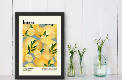 Lemon , Lemon Print , Fruit Print , Still Life , Summer Print , French Print , Fruit , Wall Art , Tropical Print , Botanical Print , Lemons