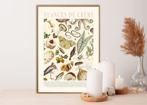 Shades of Cream , Floral Print , Print , Bedroom , Kitchen Print , French Print , Flower , Wall Art , Vintage , Botanical Print , A3 , A4 ,