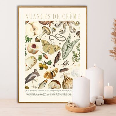 Shades of Cream , Floral Print , Print , Bedroom , Kitchen Print , French Print , Flower , Wall Art , Vintage , Botanical Print , A3 , A4 ,