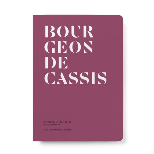 Livre : Le Bourgeon de cassis en parfumerie