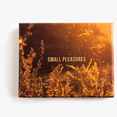 Small Pleasures Card Set, Inspirational Gratitude Tool 6054