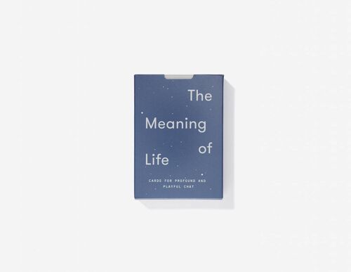 The Meaning of Life Conversation Cards 11286