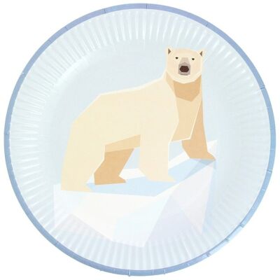 6 platos de animales polares