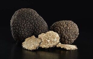 Fette Di Tartufo Estivo Biologico Essiccato Dall'Italia - 10g - HECOSFAIR