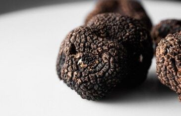 Pregiato Tartufo Nero Intero Biologico In Salamoia Dall'Italia - 10g - HECOSFAIR