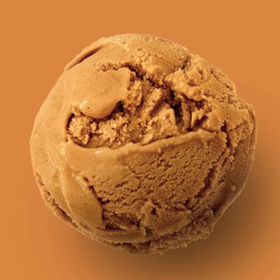 Salted Butter Caramel Ice Cream 2.5L