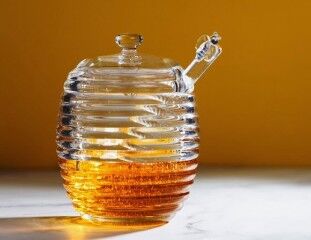 Miele Biologico Puro Con Aglio Nero IGP Di Lomagne In Francia - 500g - HECOSFAIR