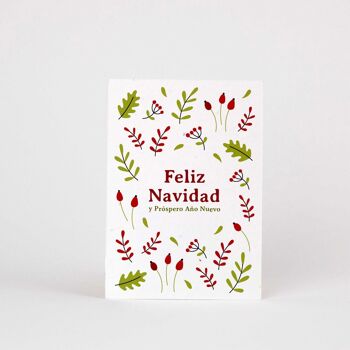 cartes postales à planter. "Joyeux Noël" (Mélange de fleurs) 1