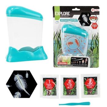 Toi Toys Explore Kit d'élevage poisson dragon en aquarium