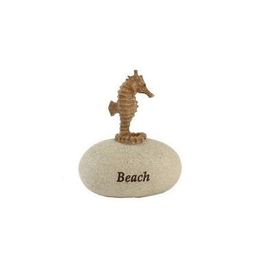 Steen polystone met zeepaardje beach 8x10x5cm