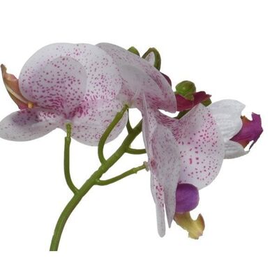 Decoris Orchidee polyester in pot L20-W18-H46cm